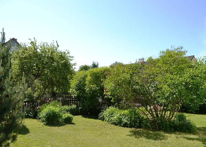 Апартаменты Aasa *