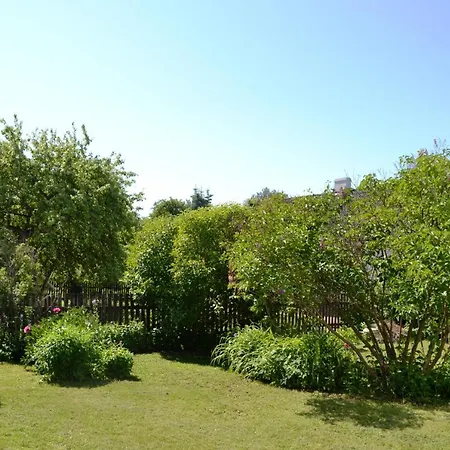 Apartament Aasa *